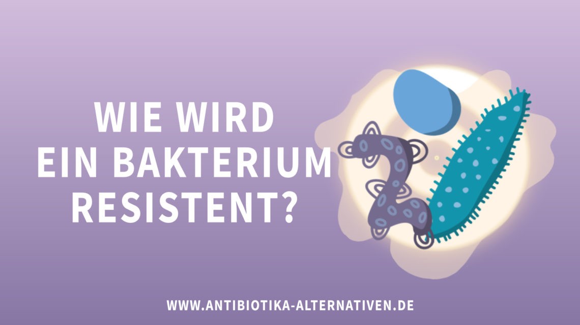 Wie werden Bakterien resistent?
