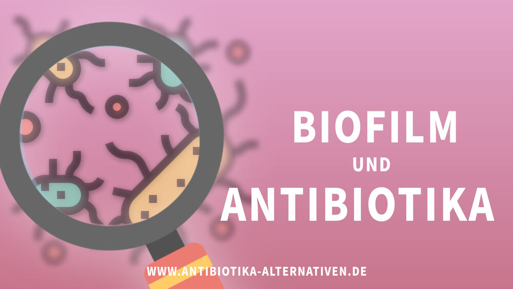 Biofilm und Antibiotika