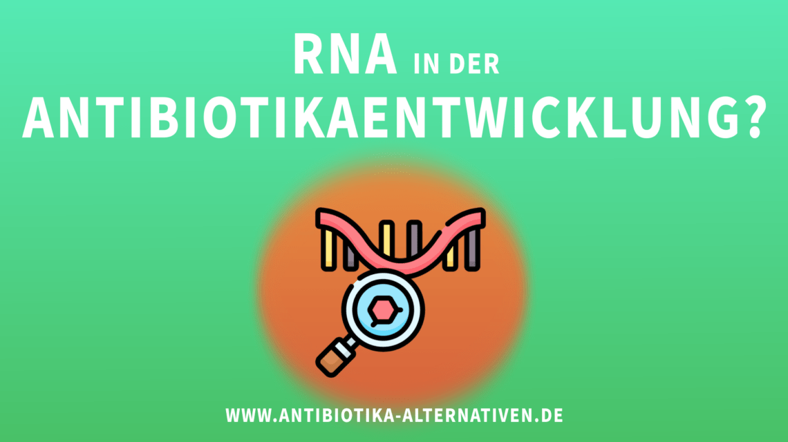 RNA Antibiotikaentwicklung